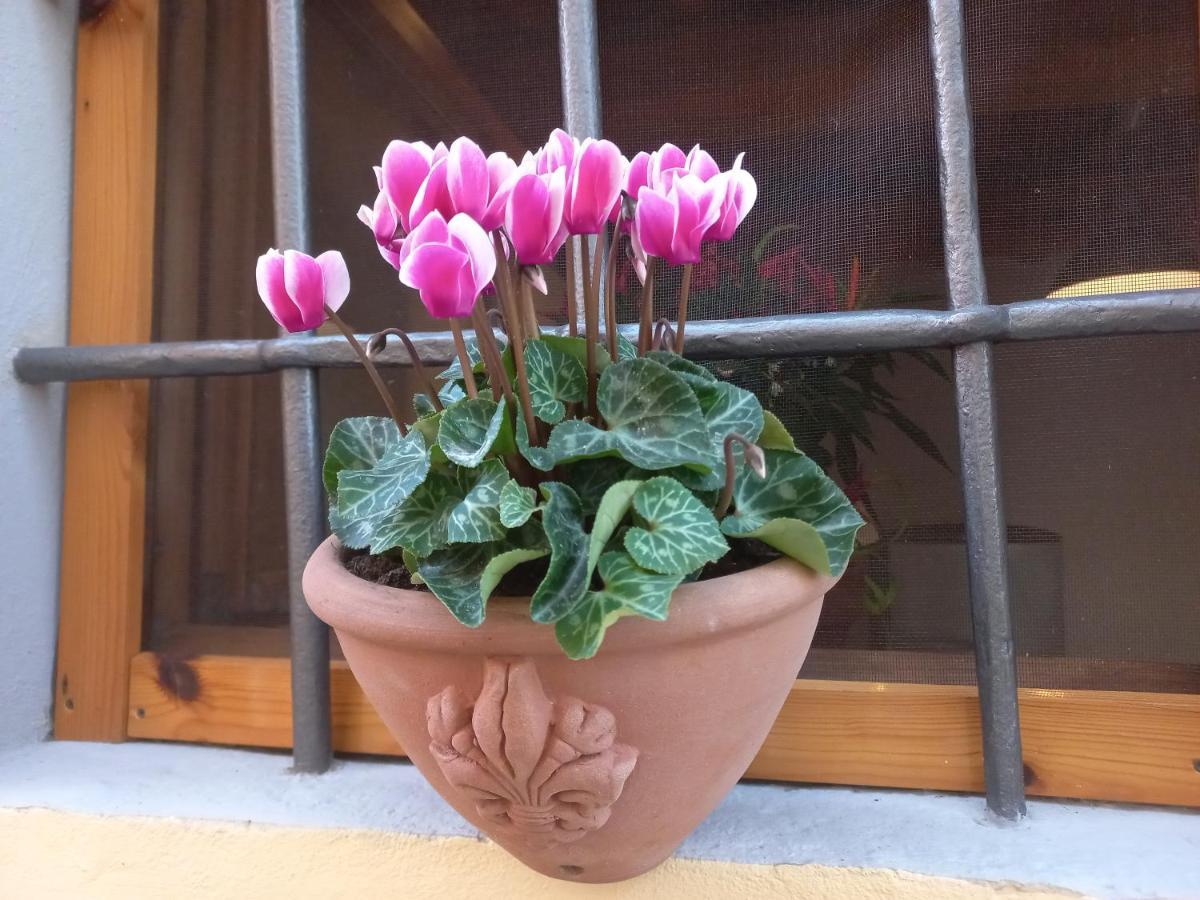 Casina Iris - Reggello Apartment Exterior photo